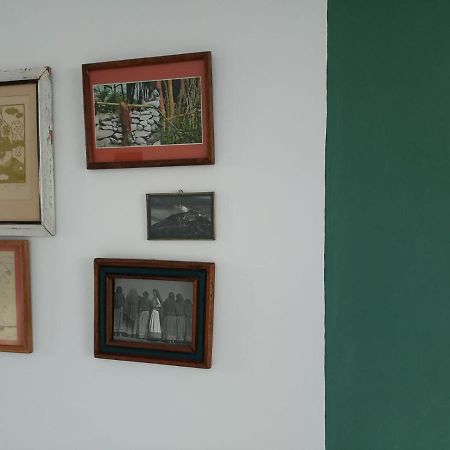 Ferienwohnung Rincon De Luz Cuernavaca Exterior foto